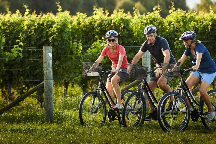 a person riding on the back of a bicycle