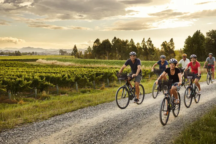 a group of people riding on the back of a bicycle