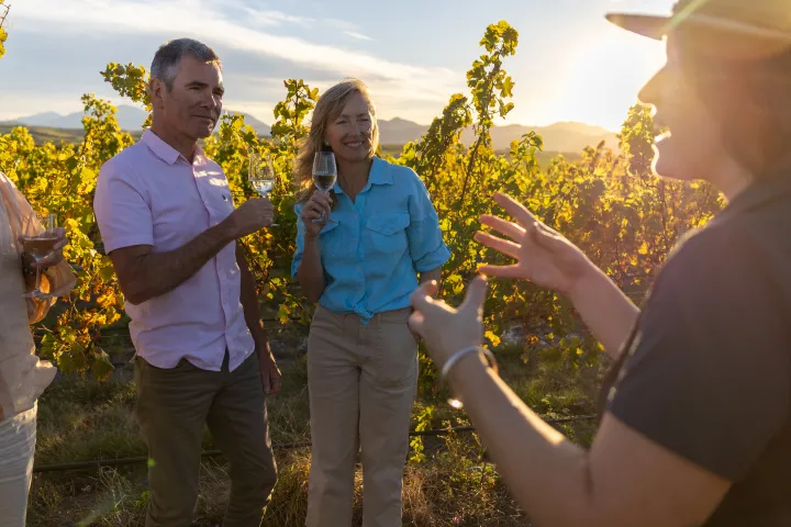 Guided Wine Tours with Explore Marlborough