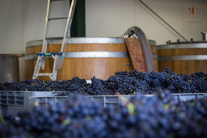 a close up of a flower