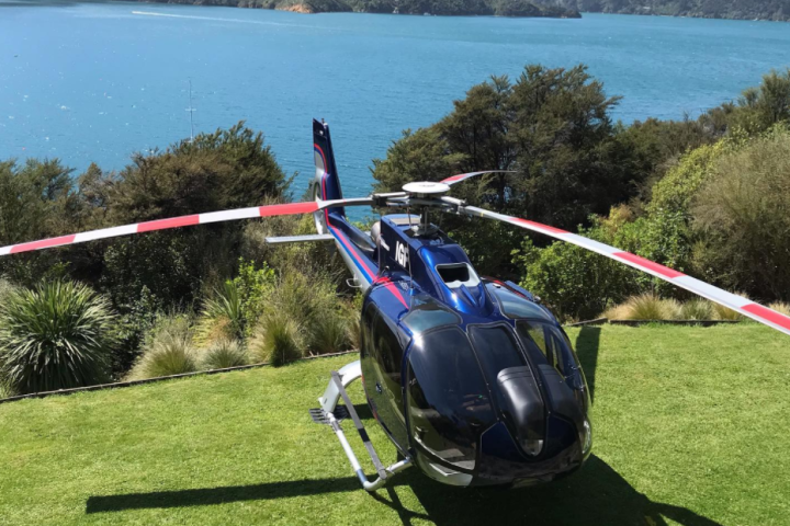 Helicopter on grassy area by blue lake and forested hills in background.