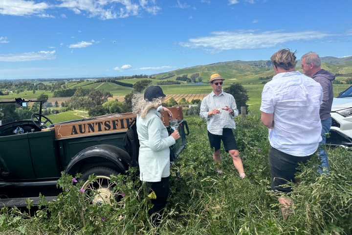 People standing by a vintage car in a lush vineyard landscape under a blue sky.