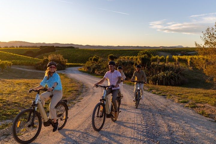 Four people cycling on a dirt path through vineyards at sunset.