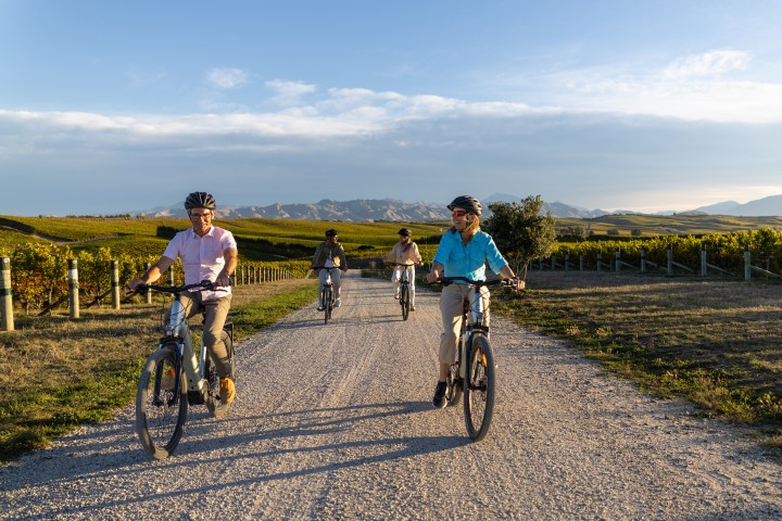 Four people cycling on a gravel path through vineyards with mountains in the background.