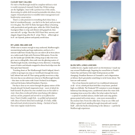 Person with wine glass overlooking ocean view, wearing a hat and scarf.