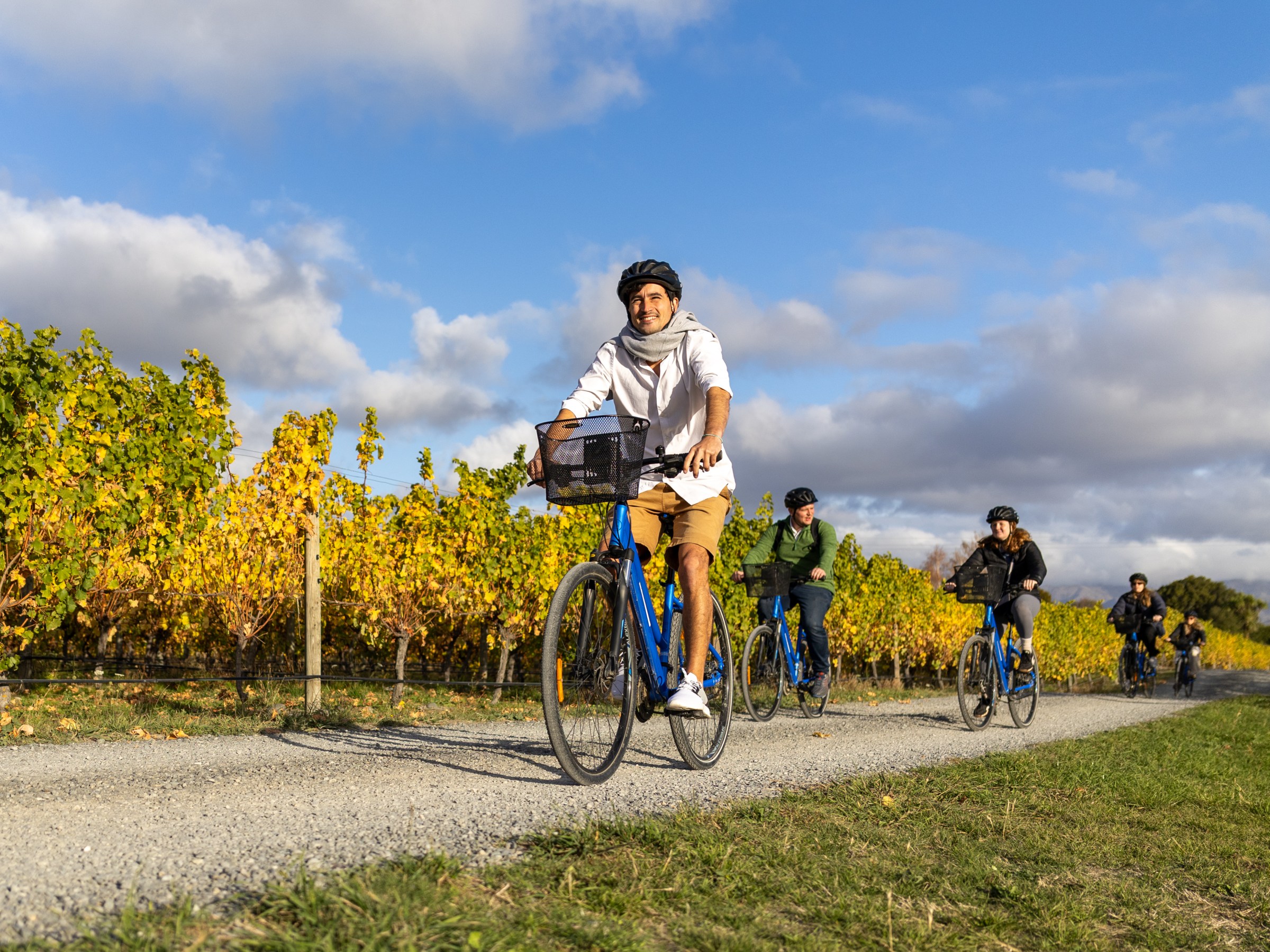 Group of people cycling on a path through a Marlborough vineyard under a blue sky.
