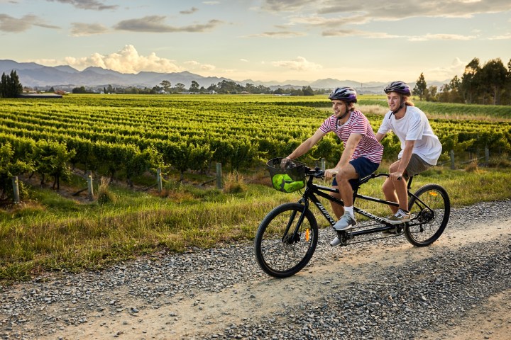 Two people cycling on a tandem bike next to a vineyard with mountains in the background.