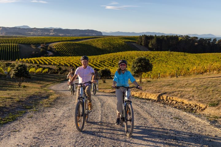 A guided wine tour by bike in Marlborough, New Zealand - Cropped