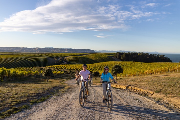 Two people biking on a rural dirt path with vineyards and ocean in the background.