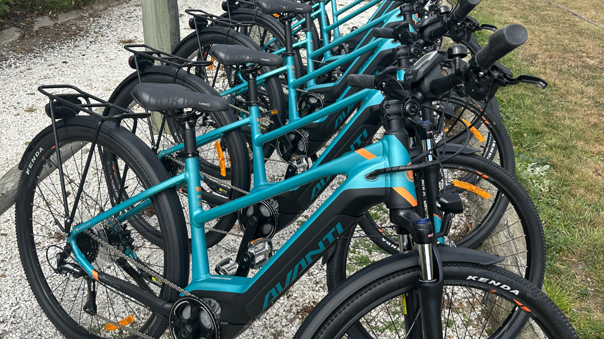 Five teal bicycles parked on gravel beside a wooden fence with greenery in the background.