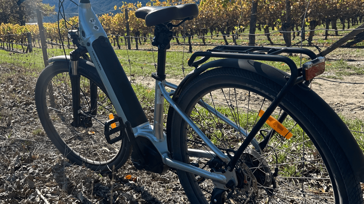 Silver electric bicycle beside a vineyard under a clear blue sky.