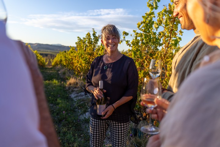 Smiling woman holding wine bottle in vineyard with people holding glasses.