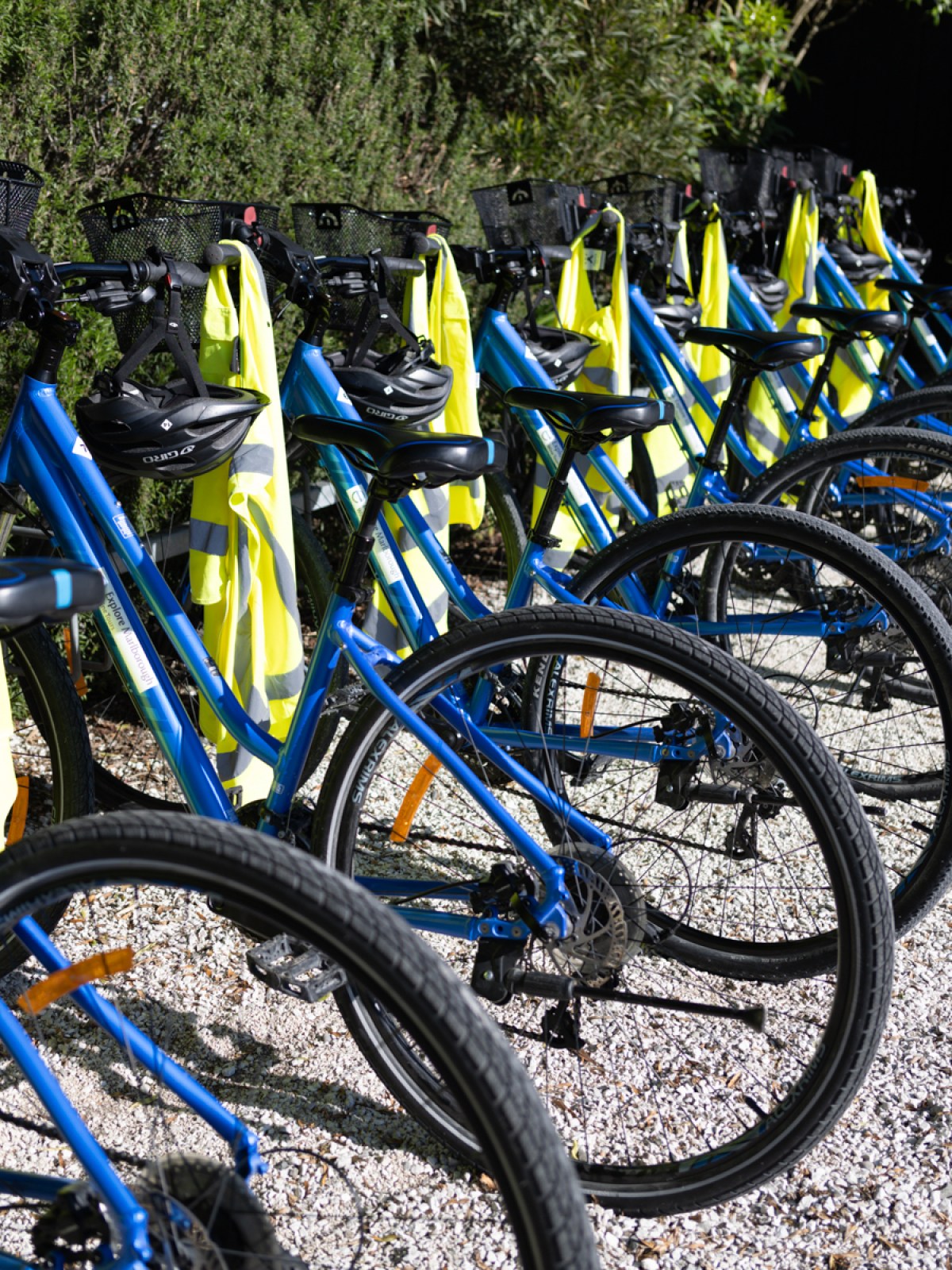 Row of blue bicycles with helmets and yellow vests on a gravel surface.
