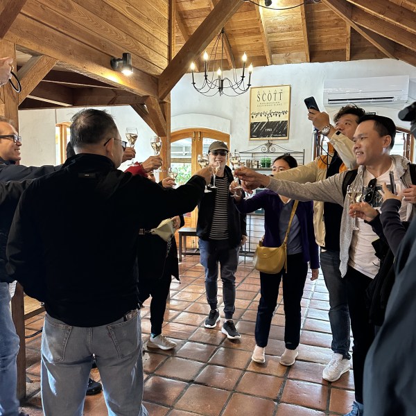 Group of people toasting with glasses inside a wooden-roofed room.
