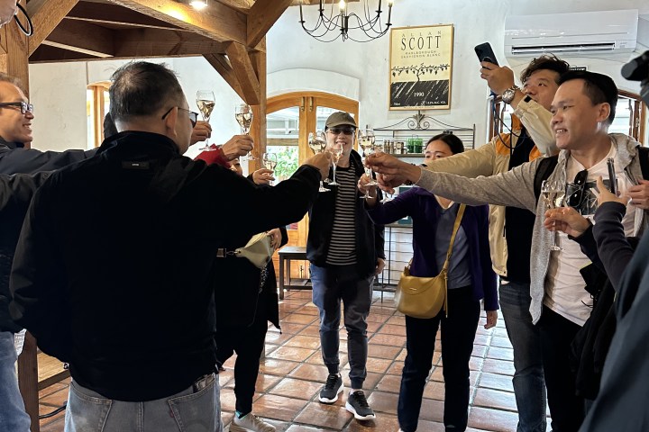Group of people toasting with glasses inside a wooden-roofed room.