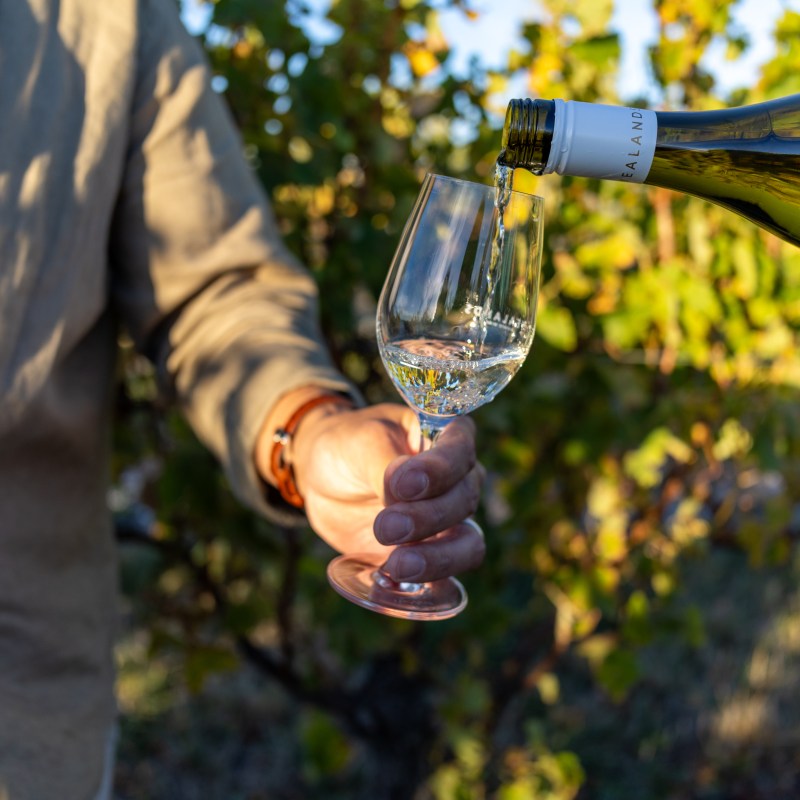 Person pouring white wine into a glass outdoors near grapevines.