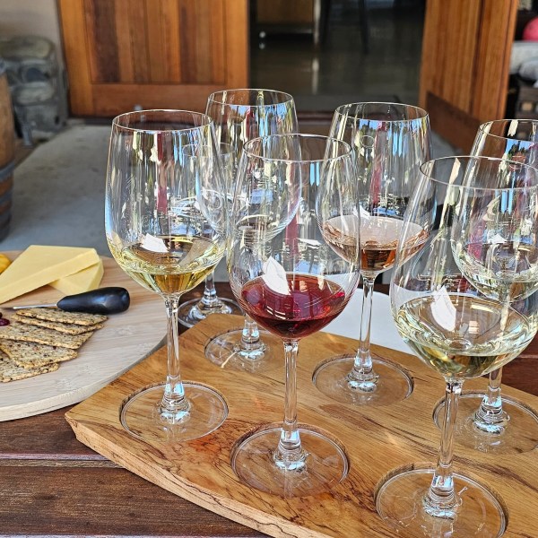 Wine glasses and cheese platter on a wooden table.