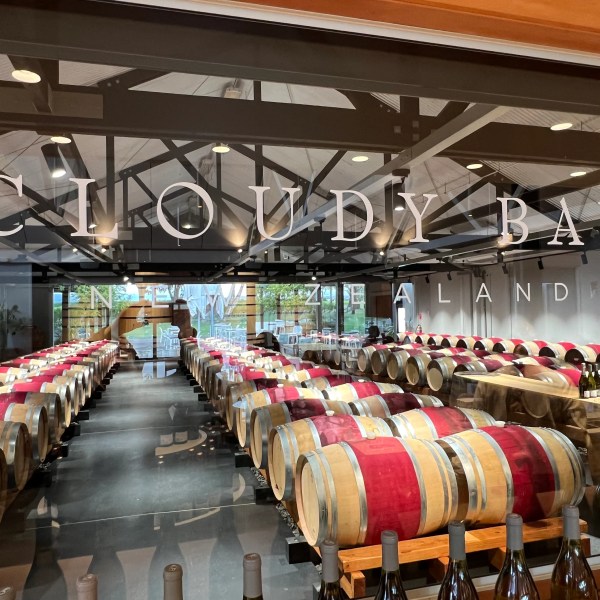 Rows of wine barrels in a winery with 'Cloudy Bay' signage on glass.