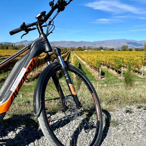 Bicycle on gravel path beside vineyard with mountains in background under clear blue sky.