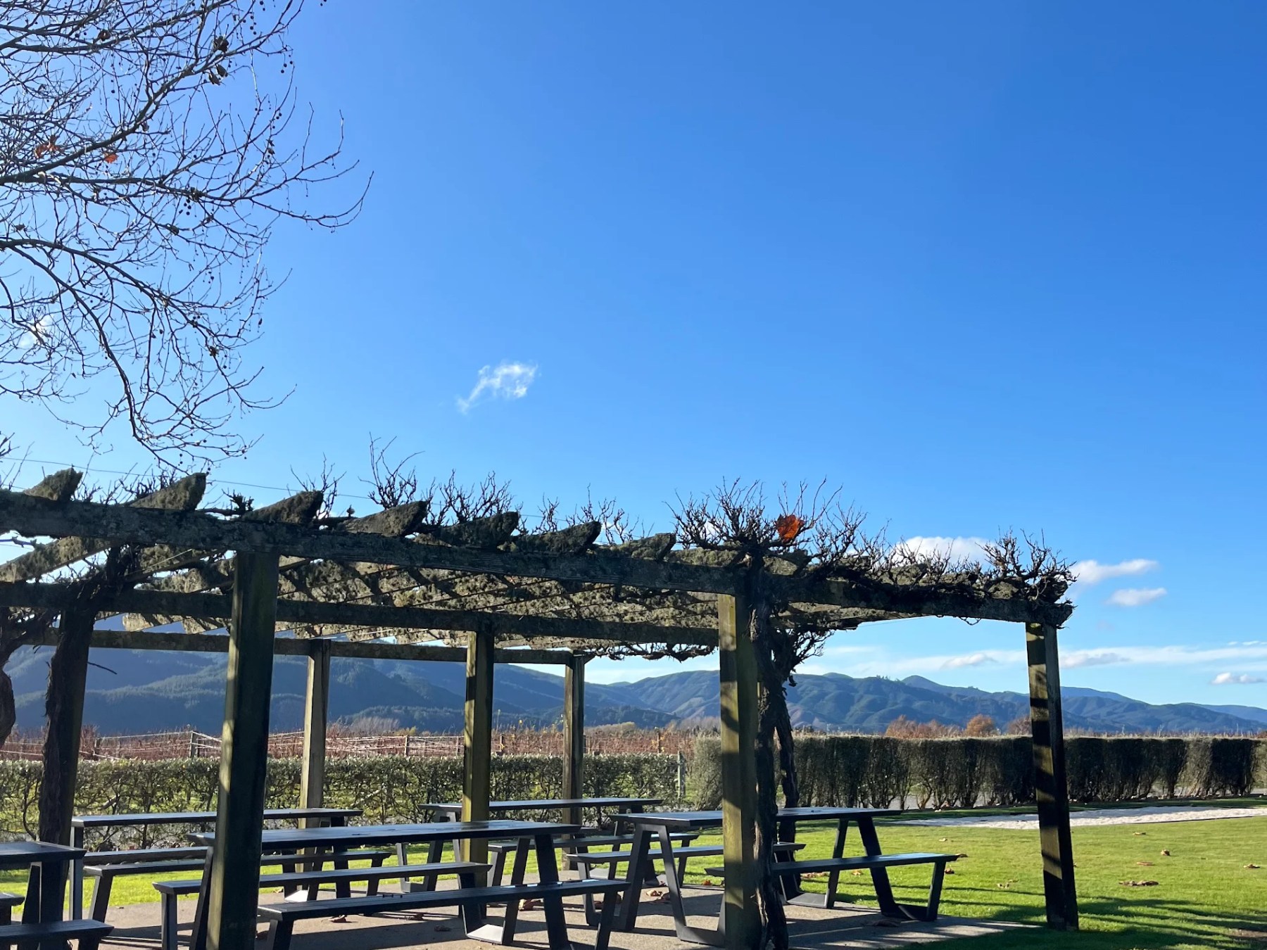 Wooden pergola with picnic tables on grass, mountains in background, clear blue sky.
