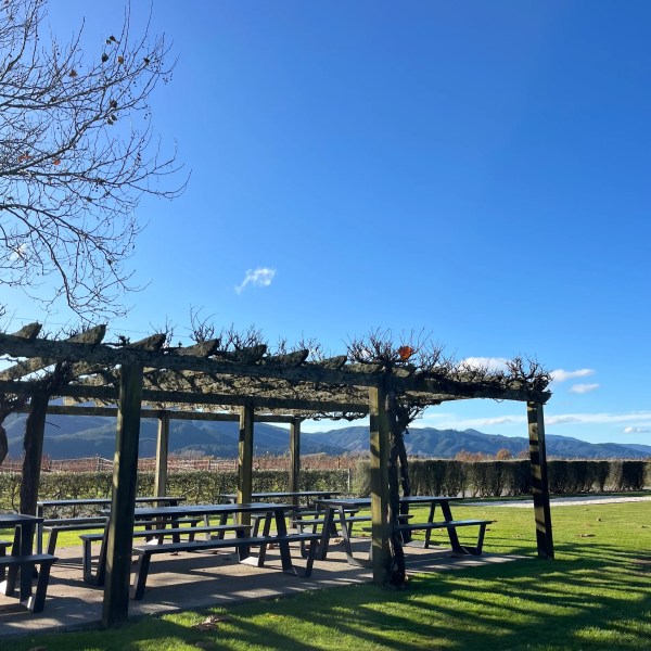 Wooden pergola with picnic tables on grass, mountains in background, clear blue sky.