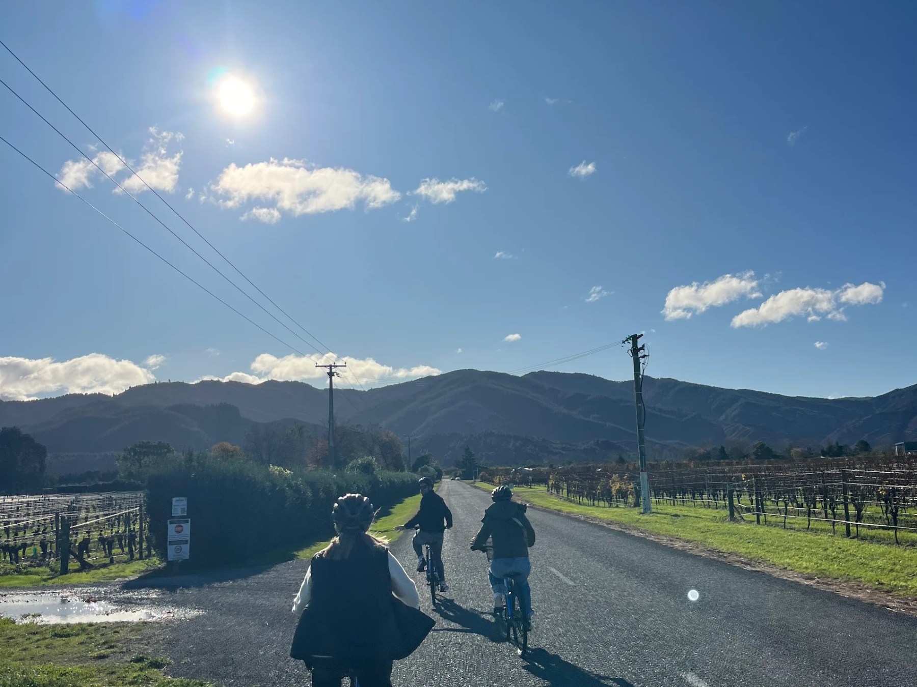 Three people cycling on a sunny road with mountains and clear skies.