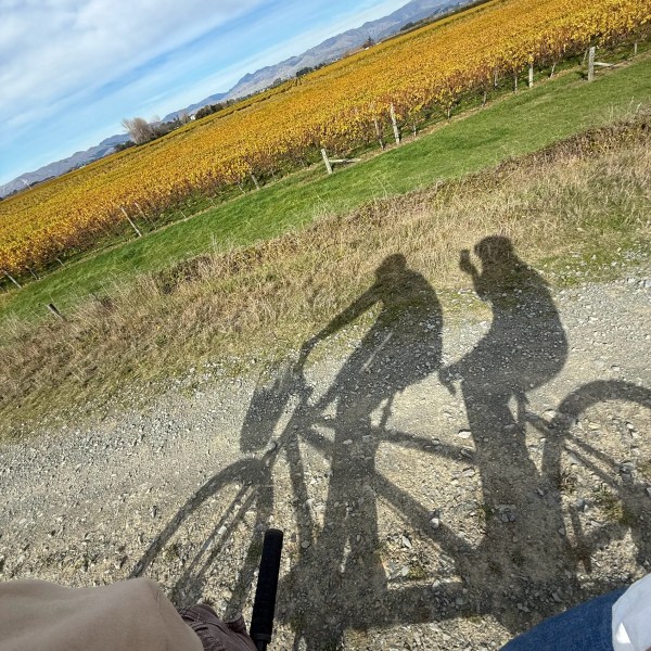 Shadows of two cyclists on a gravel path by a field, with mountains in the background.