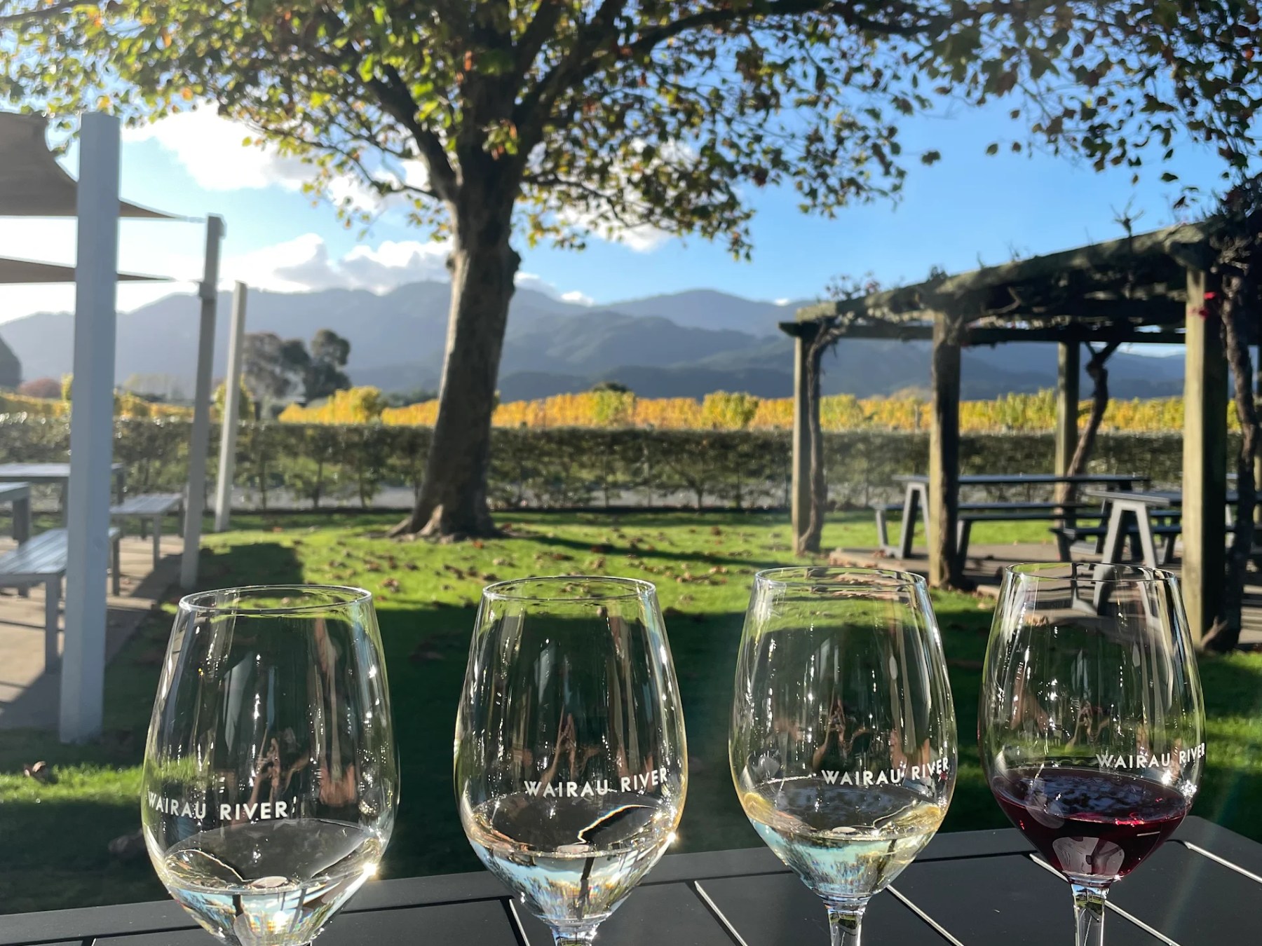 Four wine glasses on a table with vineyard and mountains in the background.