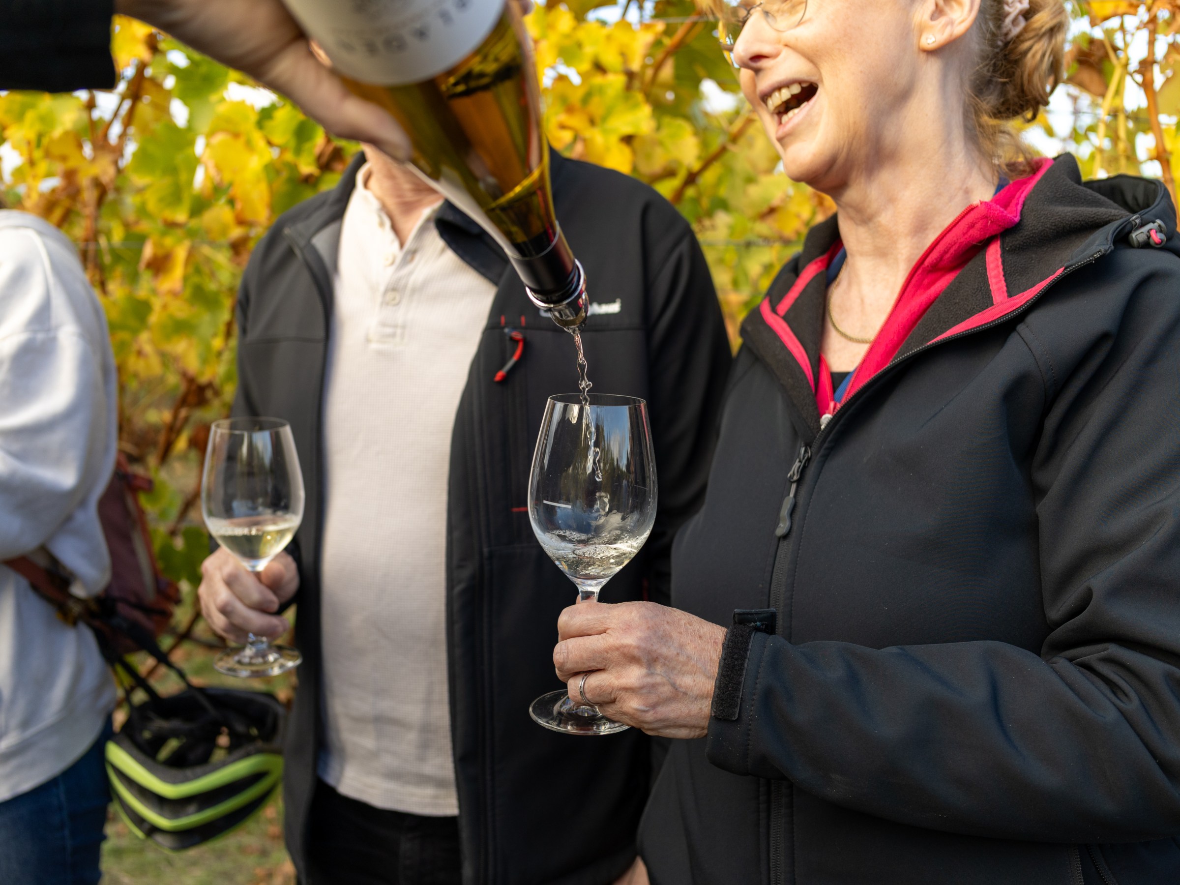 Person pouring wine into glass held by another in vineyard.