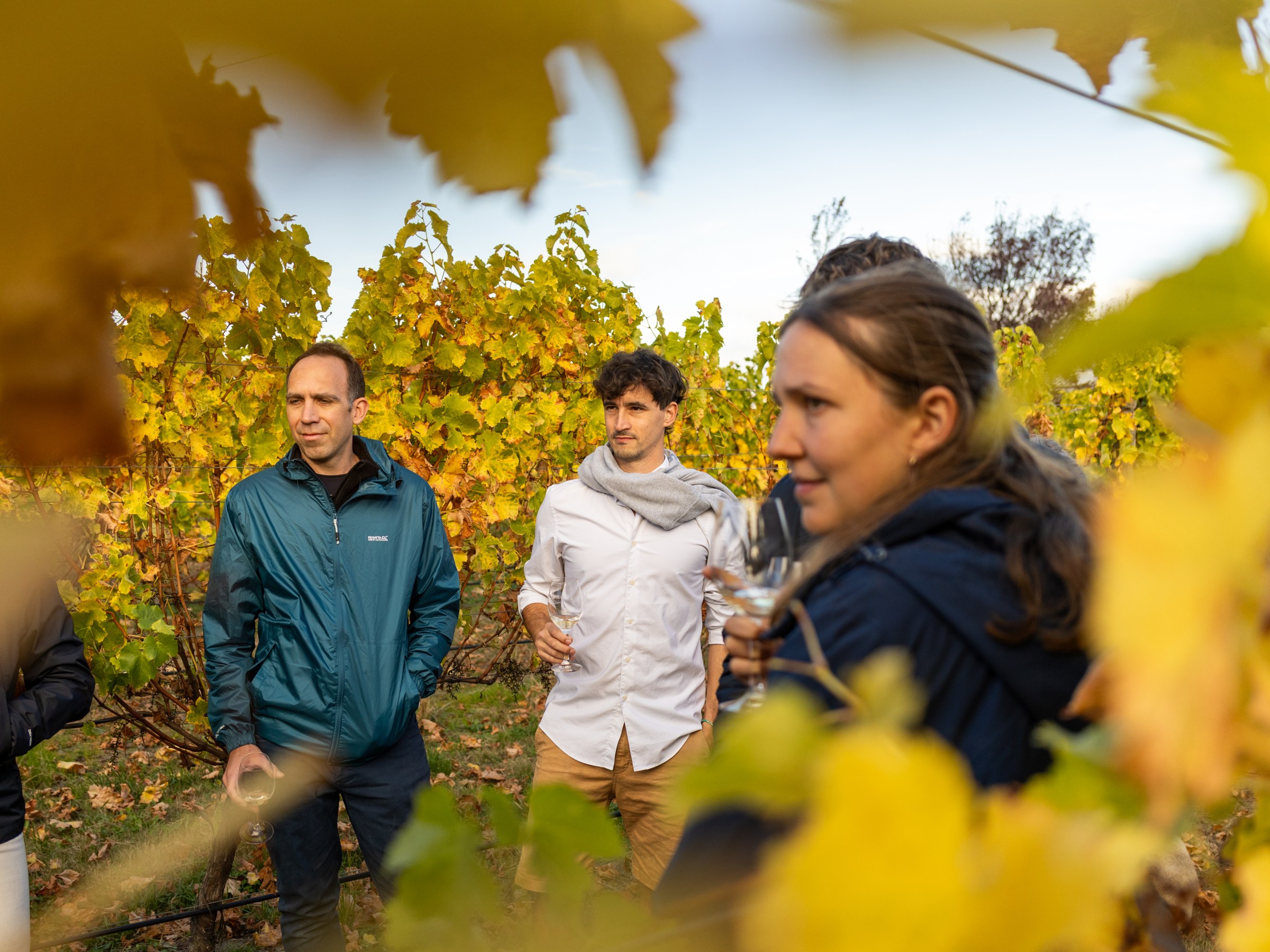 People standing in a vineyard with autumn leaves, holding drinks.