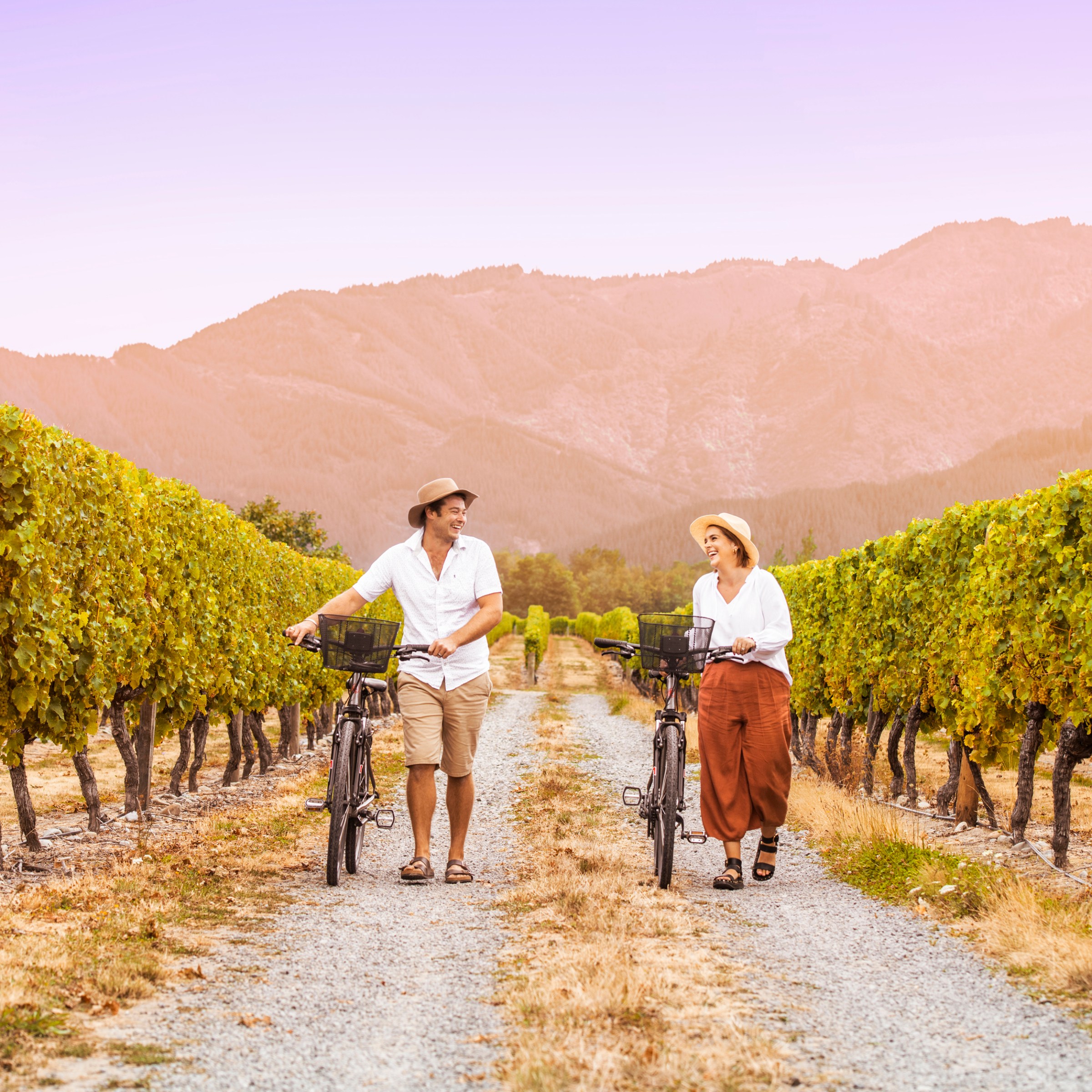 Two people walking bikes through a vineyard at sunset with mountains in the background.