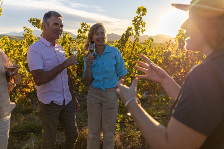 People enjoying wine in a vineyard at sunset, listening to a guide.