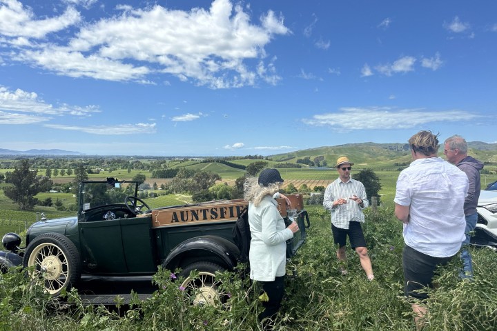 Group of people near vintage car in vineyard under blue sky.
